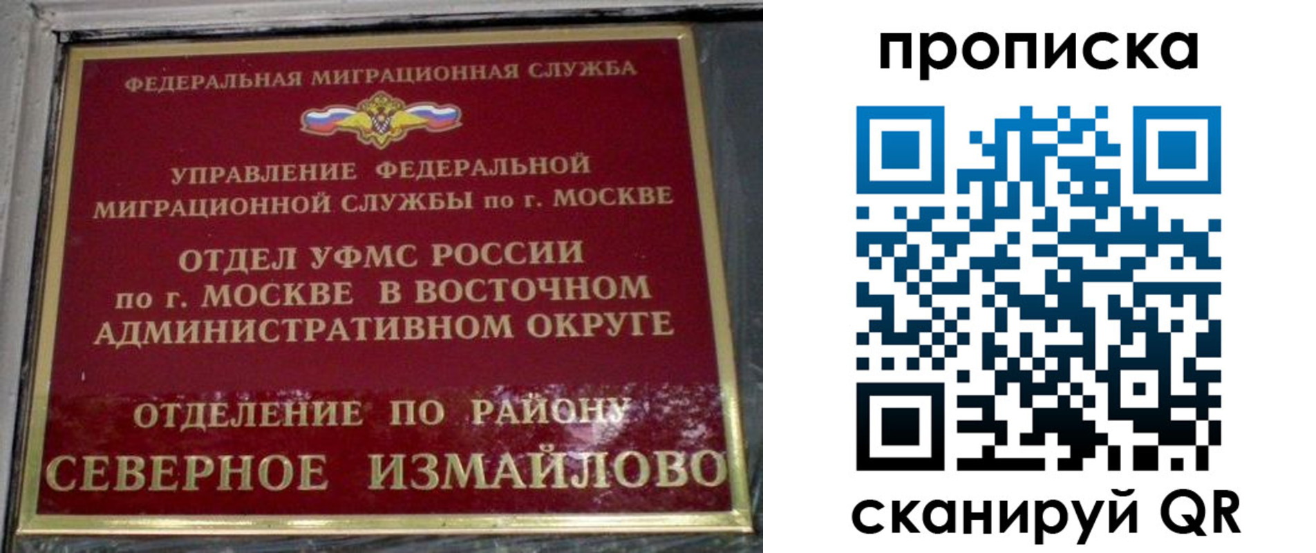 купить прописку в Димитровграде