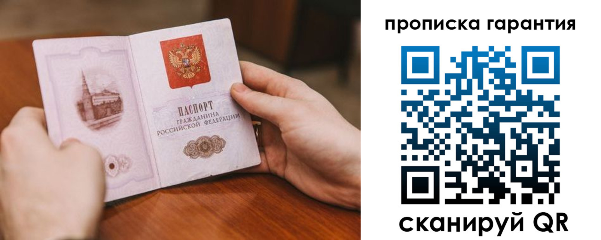 прописка поиск в Димитровграде